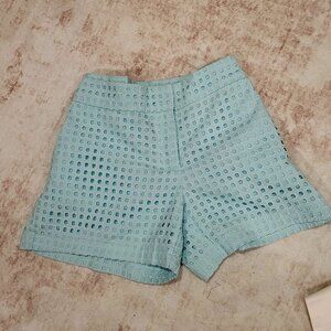 Light Blue / Teal Eyelet Shorts
